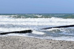 Bild24