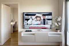 TV1.skaliert