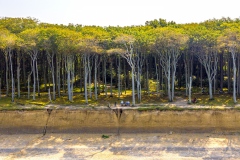 DJI_0247.3-2